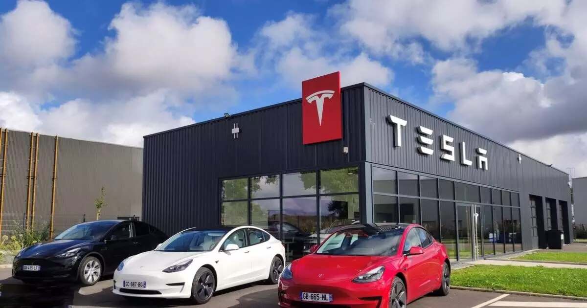 Tesla employees electric dream meets sudden crash in mass layoffs