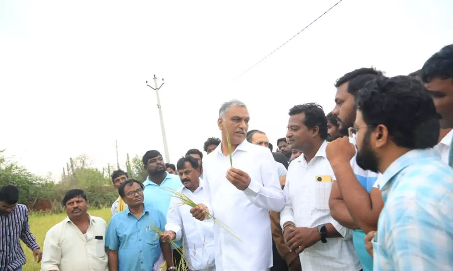Rain ruin in Telangana: Harish Rao, KTR assure farmers of BRS govt support