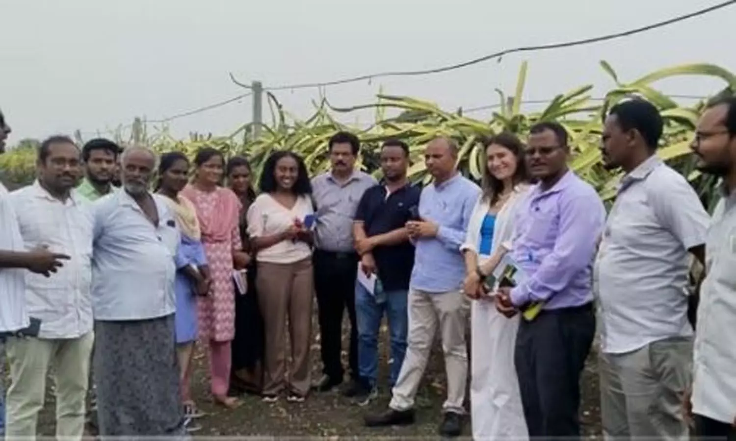 Ethiopian delegation studies dragonfruit cultivation in Penuganchiprolu in AP