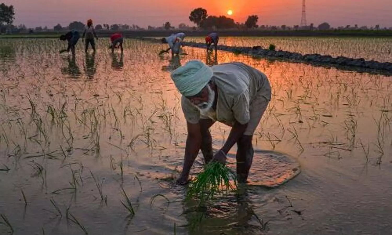 Rs 1,325.24 cr disbursed to 10.89 lakh farmers on day 3 of Rythu Bandhu