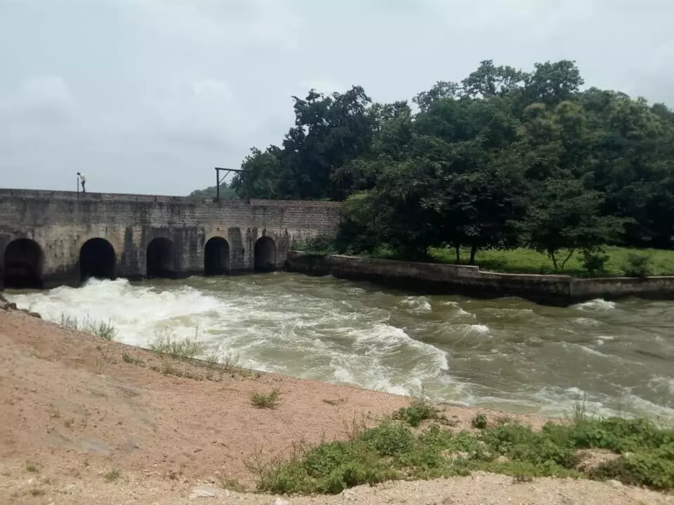 National Board for Wildlife clears Lakshmipur lift, 22 other pending projects in Telangana