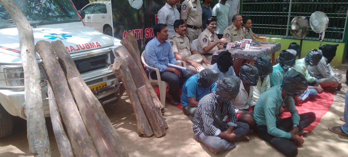 Police Bust Pushpa Inspired Smuggling Gang In Balapalli Seize Red Sanders Worth Rs Lakh