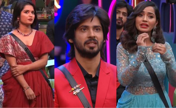 Bigg Boss: 'Serial Batch' under pressure after Nag's class