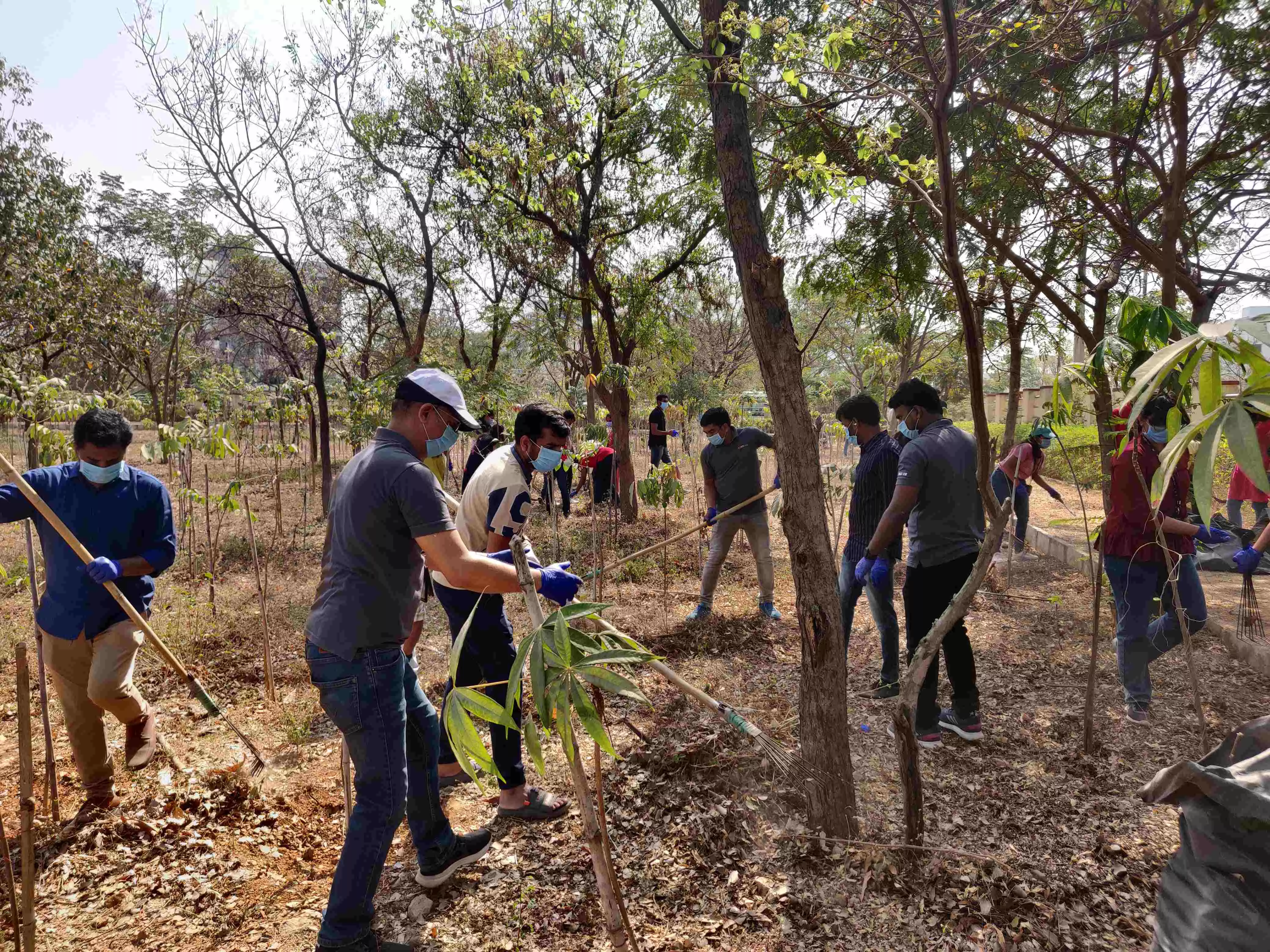 DBS techies carry out cleanliness programme at Gopanpalli Journalist Colony in Hyderabad