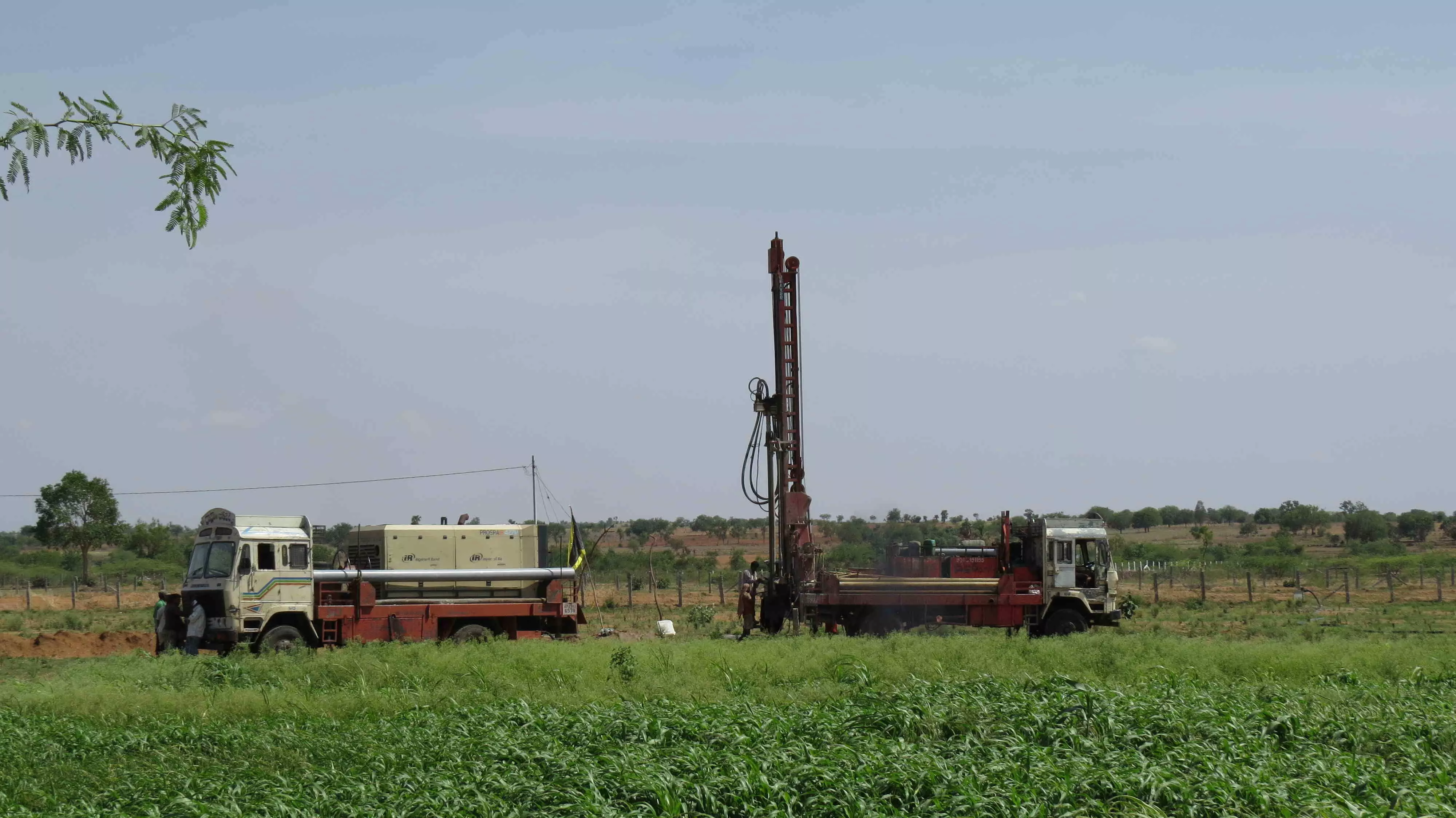 Farmers in Yedutla village in Wanaparthy sunk 120 borewells in February alone, crops, cattle suffer