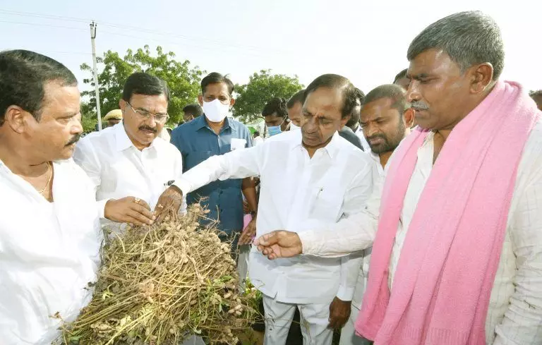 KCR to visit drought-hit villages in Nalgonda, Suryapet, Jangaon on March 31 to interact with farmers