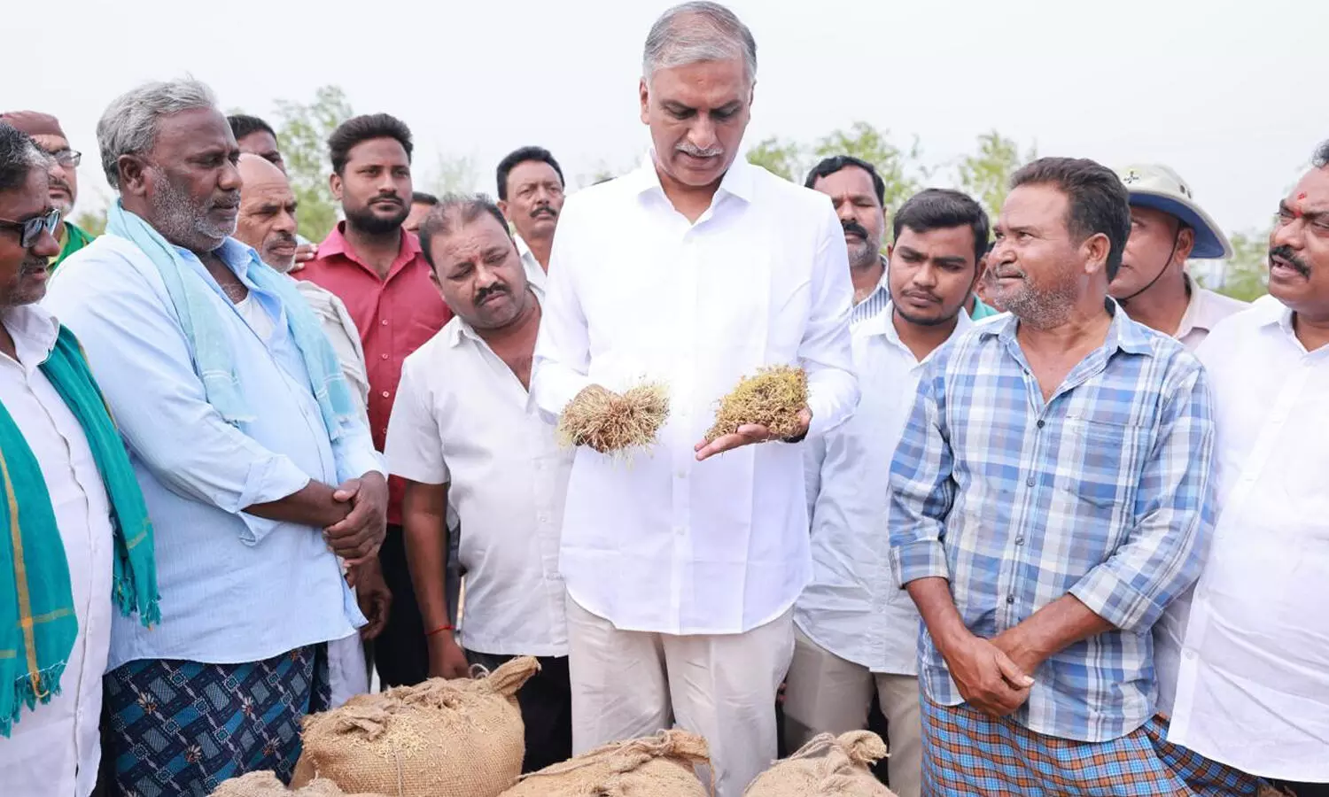 Vows of buying wet paddy by Congress govt bogus: Harish Rao