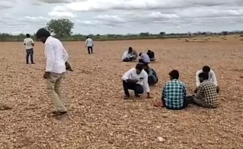 Farmers sowing paddy, harvesting diamonds in Kurnool, each worth Rs 12-15 lakh