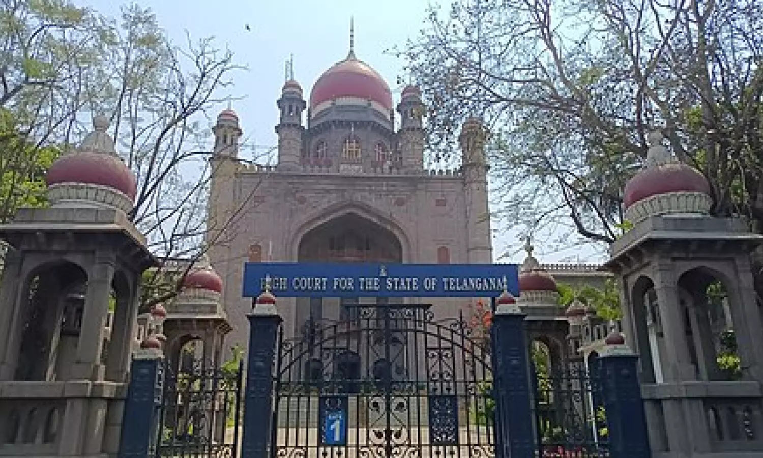 High Court slams Telangana government over stray dog attacks on children