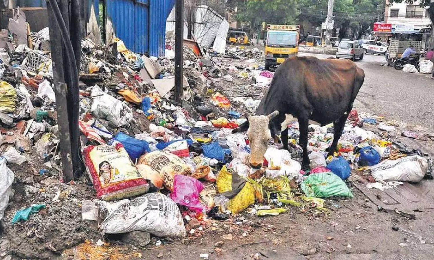 KTR slams Hyderabads waste management, urges Congress government to act