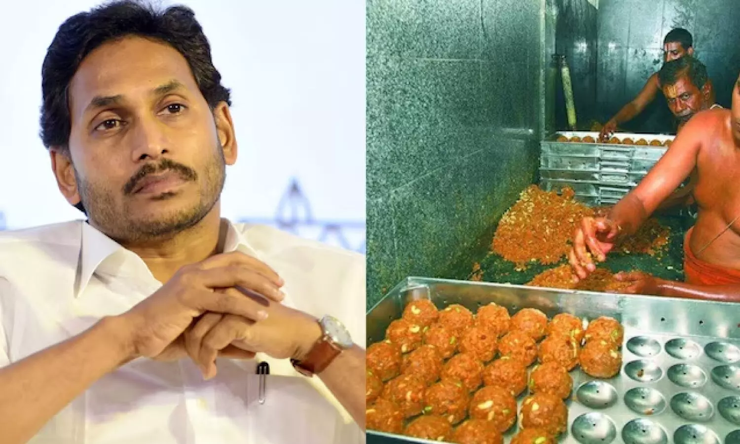 YSRCP approaches High Court seeking CBI probe into Tirumala laddu controversy