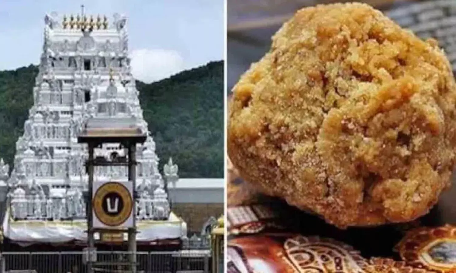 TTD chief priest clarifies no issues with laddu prasadam