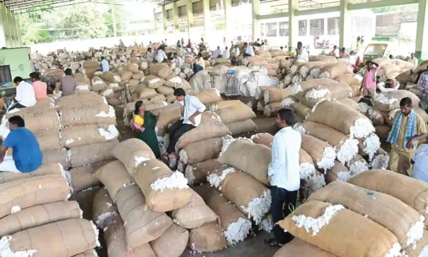 Cotton farmers protest price drop at Warangal Agricultural Market