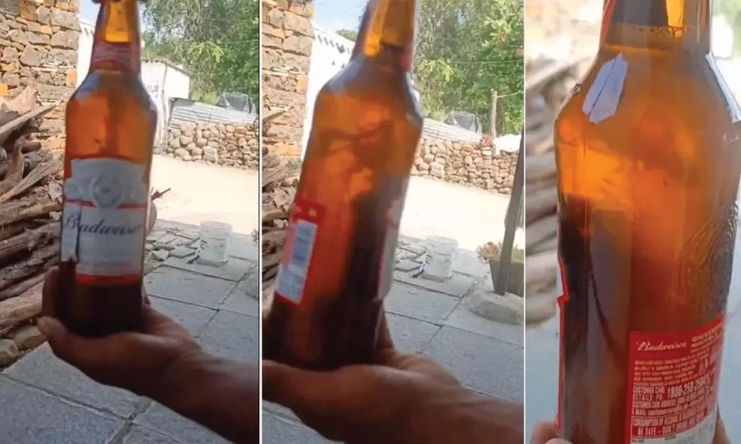 Dead lizard found in beer bottle shocks customer in Vikarabad, video goes viral